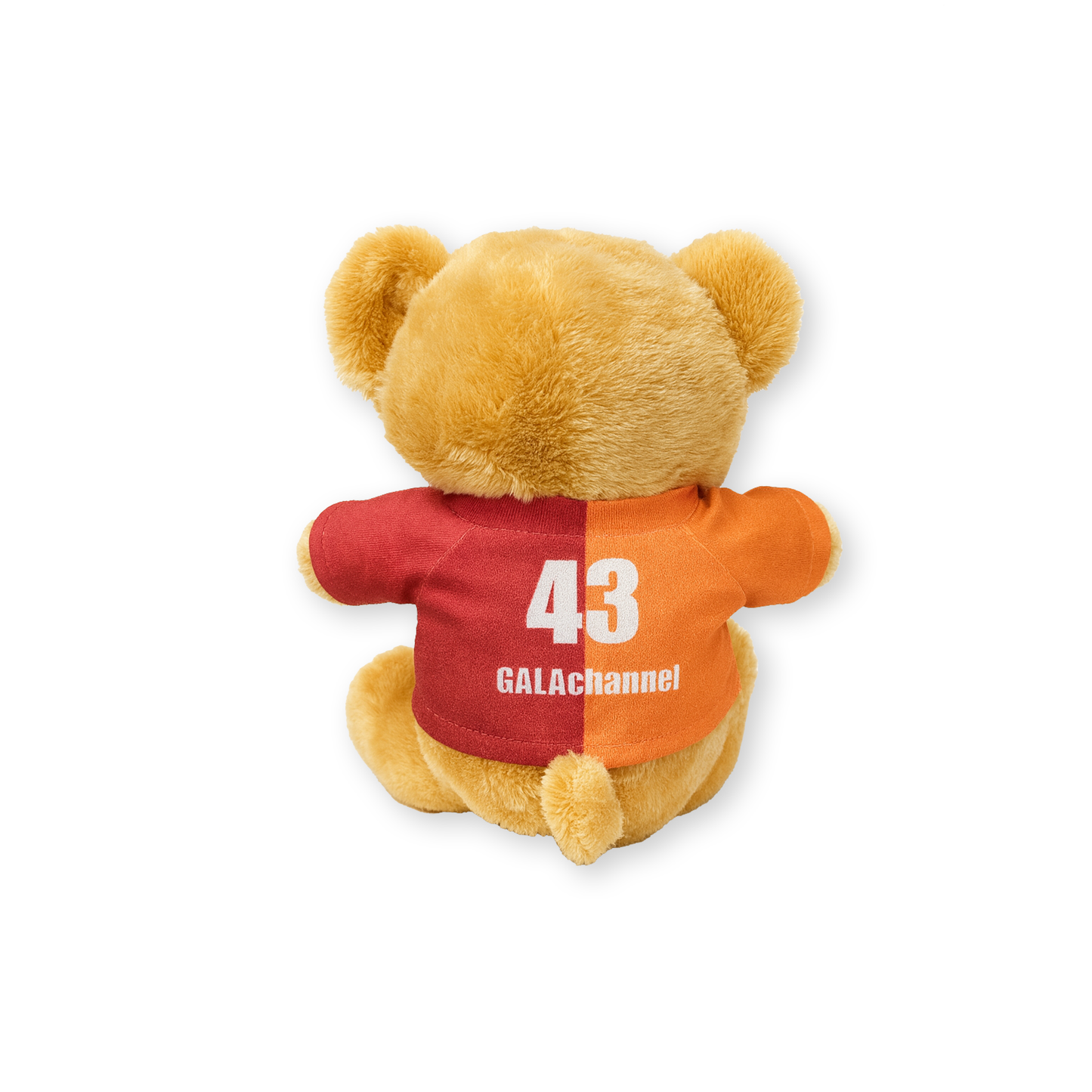 Galatasaray Teddy 26/27